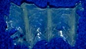 Connect's lack of a fixed interlocking mechanism between the fibers is not as effective in preventing crack propagation as the leno woven Ribbond.