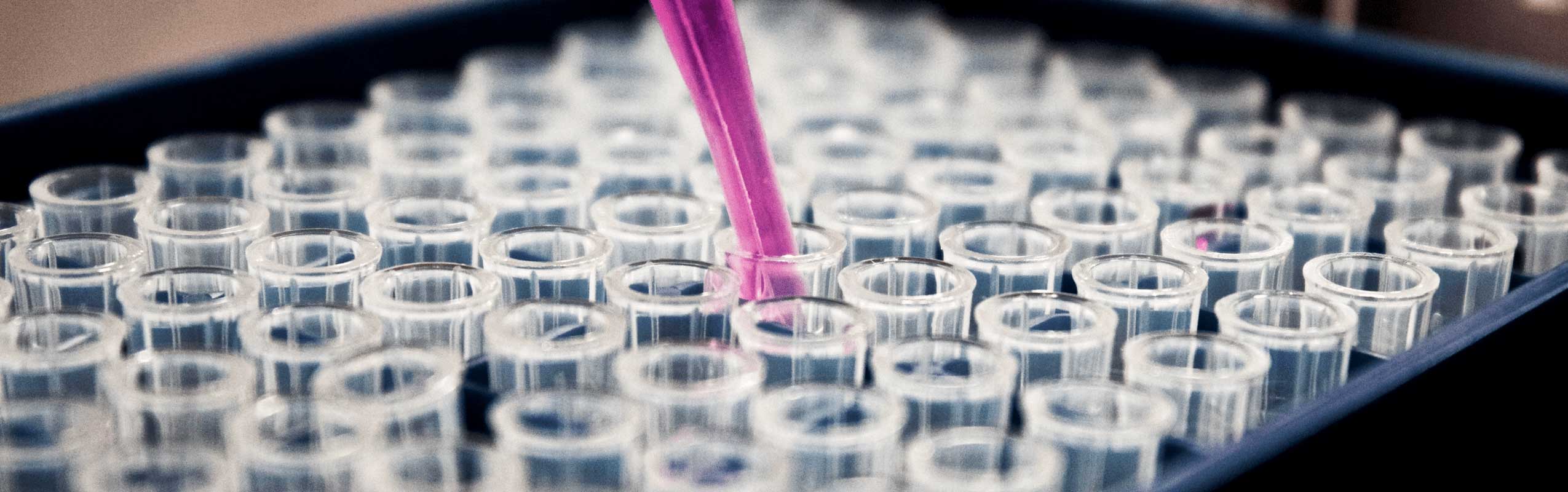 Scientific Background - Ribbond